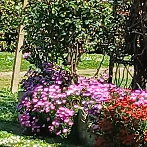 Azienda Il Tizzano Appartamento Albinia
